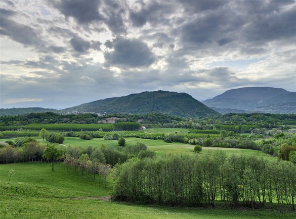 Monte di Muris